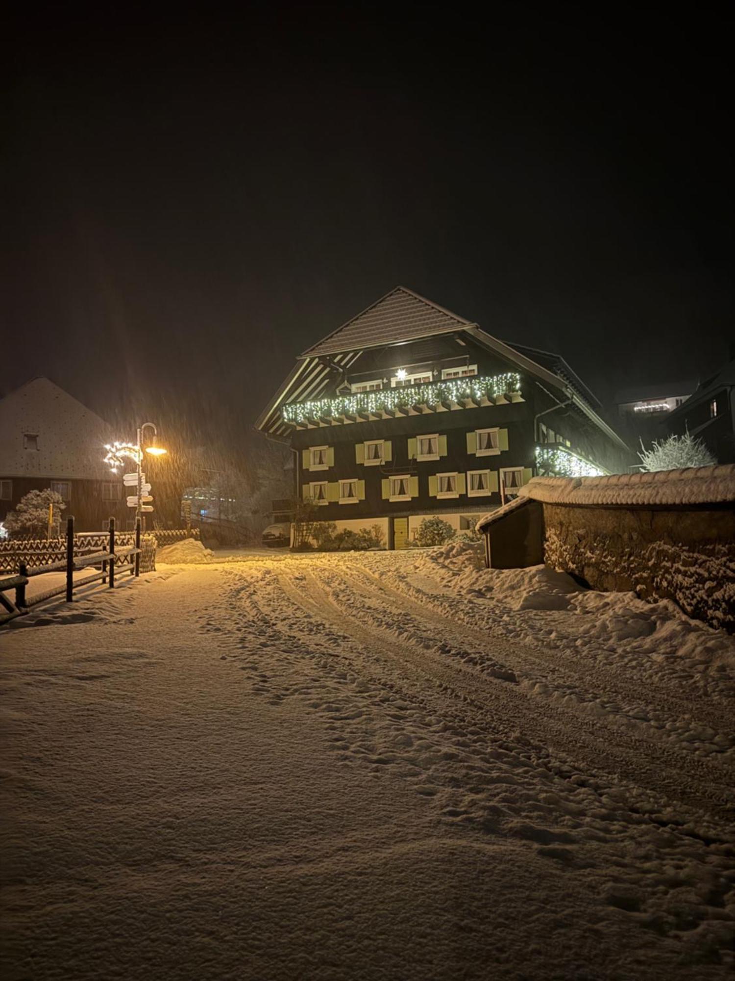 Gaestehaus Erika Menzenschwand-Hinterdorf Extérieur photo